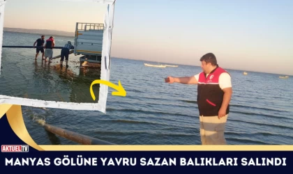 Manyas Gölüne Yavru Sazan Balıkları Salındı