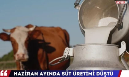 Süt Üretimi Düştü