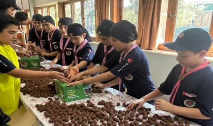 Tohum topları doğayla buluşacak