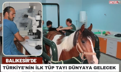 Türkiye'nin İlk Tüp Tayı Dünyaya Gelecek