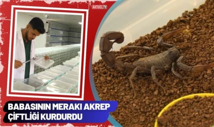 Babasının Merakı Akrep Çiftliği Kurdurdu