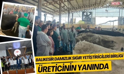 Balıkesir Damızlık Sığır Yetiştiricileri Birliği, Üreticinin Yanında