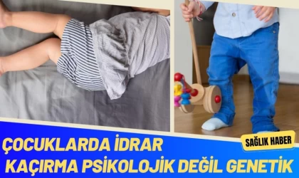 Çocuklarda İdrar Kaçırma Psikolojik Değil Genetik