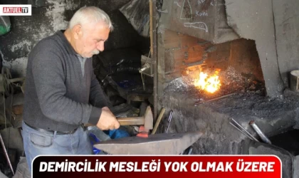 Demircilik Mesleği Yok Olmak Üzere