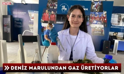 Deniz Marulundan Gaz Üretiyorlar
