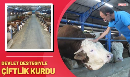 Devlet Desteği İle Çiftlik Kurdu