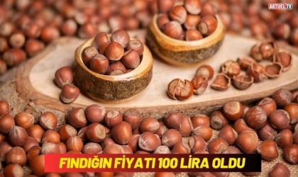 Fındığın Fiyatı 100 Lira Oldu