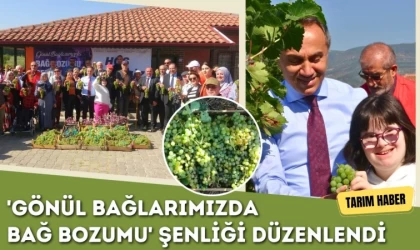 'Gönül Bağlarımızda Bağ Bozumu' Şenliği Düzenlendi