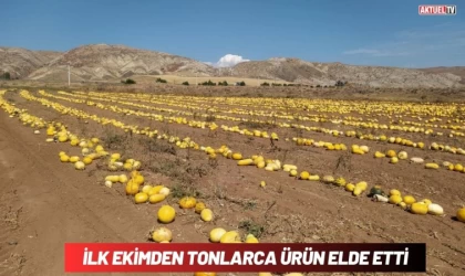 İlk Ekimde Tonlarca Ürün Elde Etti