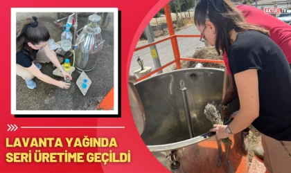 Lavanta Yağında Seri Üretime Geçildi