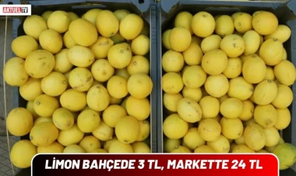 Limon Bahçede 3 TL, Markette 24 TL