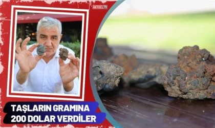 Taşların Gramına 200 Dolar Verdiler