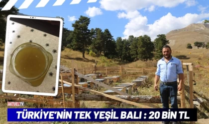 Türkiye’nin Tek Yeşil Balı : 20 Bin TL