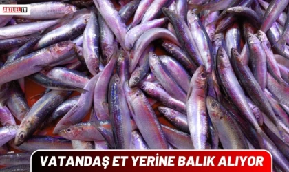 Vatandaş Et Yerine Balık Alıyor