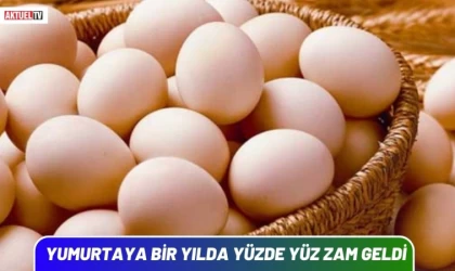 Yumurta Bir Yılda Yüzde Yüz Zamlandı