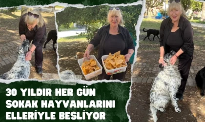 30 Yıldır Sokak Hayvanlarını Elleriyle Besliyor