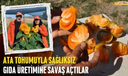 Ata Tohumuyla Sağlıksız Gıda Üretimine Savaş Açtılar