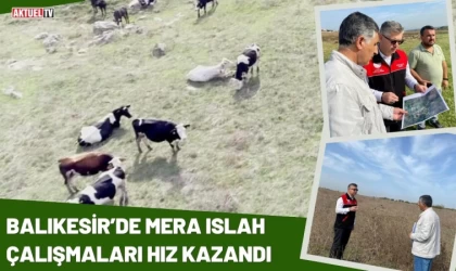 Balıkesir’de Mera Islah Çalışmaları Hız Kazandı