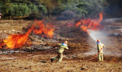 Bin 144 Personelle Orman Yangını Tatbikatı