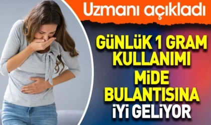 Günlük 1 Gram Zencefil Kullanımı Mide Bulantısına İyi Geliyor