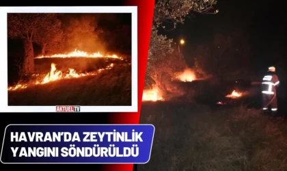 Havran’da Zeytinlik Yangını Söndürüldü