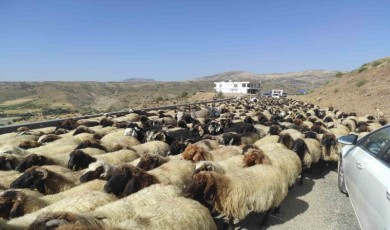 Yayla Sezonunu Kapattılar