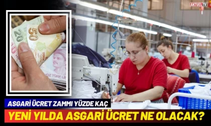 Yeni Yılda Asgari Ücret Ne olacak?