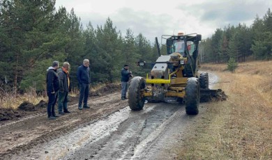 2024 Türkiye Ralli Şampiyonası Start Alacak