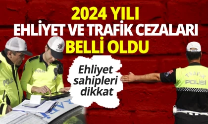 Araç Sahipleri Dikkat: 2024 Yılı Ehliyet ve Trafik Cezaları Belli Oldu