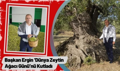 Başkan Ergin ‘Dünya Zeytin Ağacı Günü’nü Kutladı