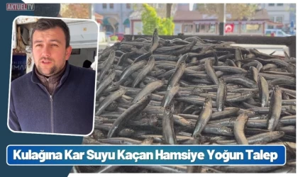 Kulağına Kar Suyu Kaçan Hamsiye Yoğun Talep