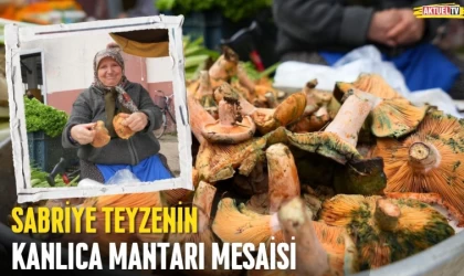 Sabriye Teyzenin Kanlıca Mantarı Mesaisi