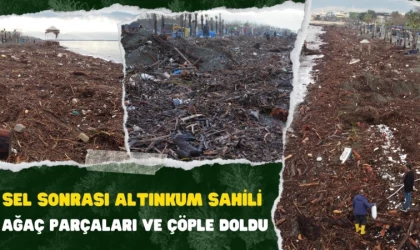 Sel Sonrası Altınkum Sahili Ağaç Parçaları ve Çöple Doldu