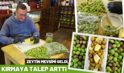 Zeytin Mevsimi Geldi, Kırmaya Talep Arttı