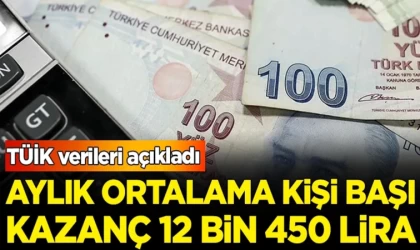 Aylık Ortalama Kişi Başı Kazanç 12 Bin 450 TL Oldu