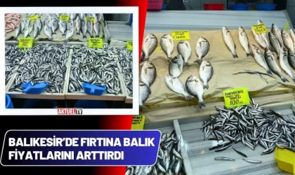 Balıkesir’de Fırtına Balık Fiyatlarını Arttırdı