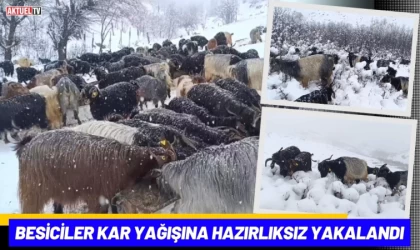 Besiciler Kar Yağışına Hazırlıksız Yakalandı