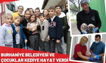 Burhaniye Belediyesi Ve Çocuklar Kediye Hayat Verdi