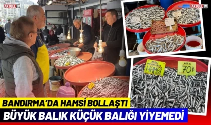 Büyük Balık Küçük Balığı Yiyemedi, Hamsi Bollaştı