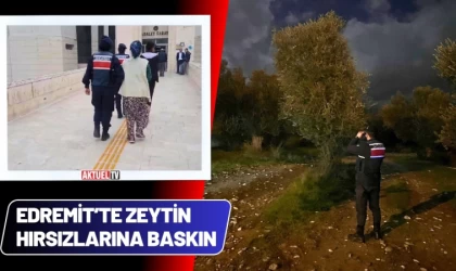 Edremit’te Zeytin Hırsızlarına Baskın