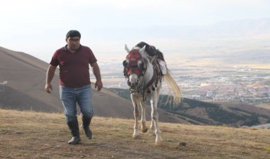 Eski Çağ’dan Modern Çağ’a Atın Kitabı