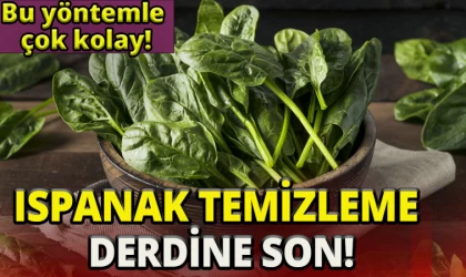 Ispanak Temizleme Derdine Son