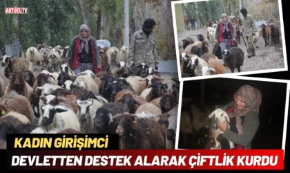 Kadın Girişimci Devletten Destek Alarak Çiftlik Kurdu