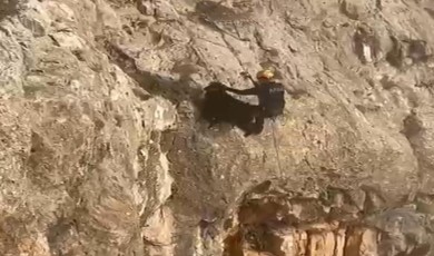 Kayalıklarda Mahsur Kalan Keçileri AFAD Kurtarıldı