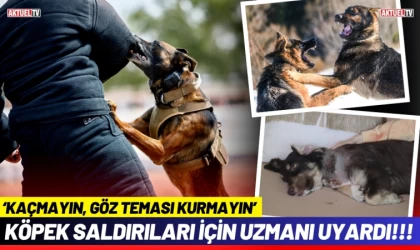 Köpek Saldırıları İçin Uzmanı Uyardı: ‘Kaçmayın, Göz Teması Kurmayın’