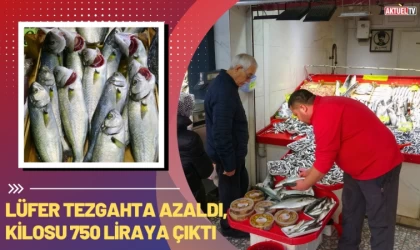 Lüfer Tezgahta Azaldı, Kilosu 750 Liraya Çıktı