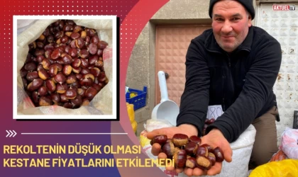 Rekoltenin Düşüklüğü Kestane Fiyatlarını Etkilemedi