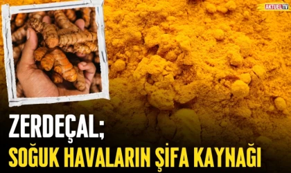 Soğuk Havaların Şifa Kaynağı: Zerdeçal