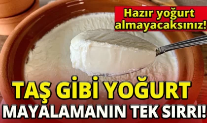 Taş Gibi Yoğurt Mayalamanın Sırrı Bulundu