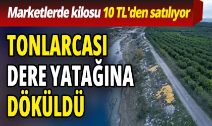 Tonlarca Limon Dere Yatağına Döküldü